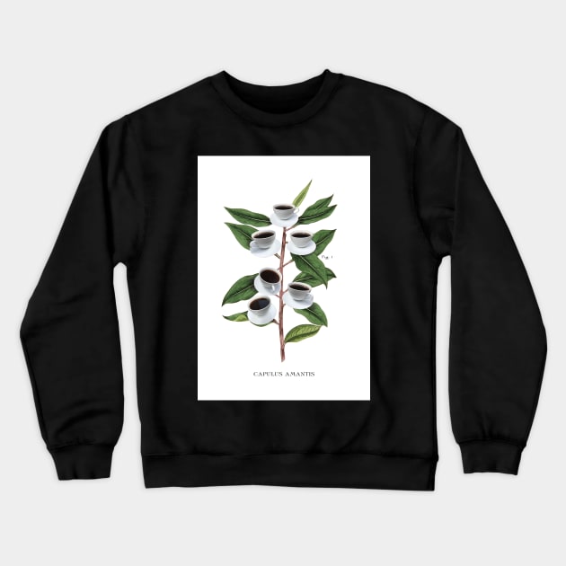 Botanical Coffee Poster, Coffee, Funny Humour, art for Coffee Shop or Kitchen Crewneck Sweatshirt by Highdown73